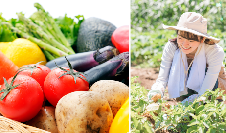 食材へのこだわり